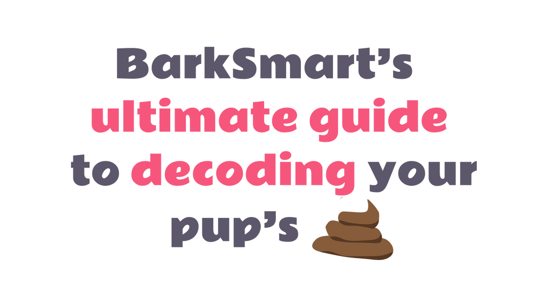 Analyzing Dog Poo: A Comprehensive Guide by BarkSmart