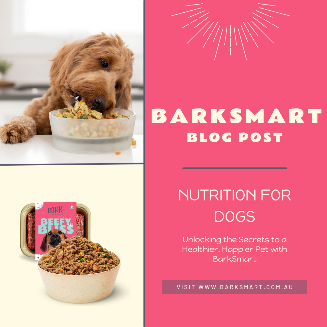 Nutrition For Dogs: Unlocking The Secrets To A Healthier, Happier Pet