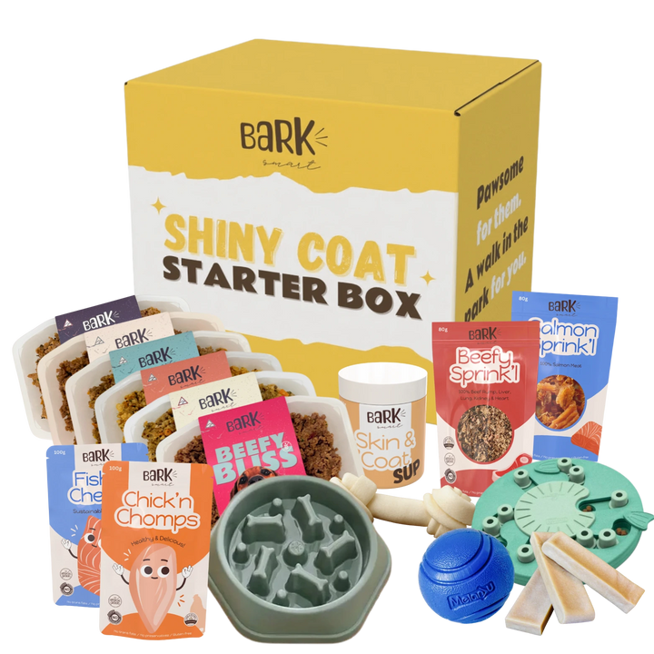 Shiny Coat Starter Box