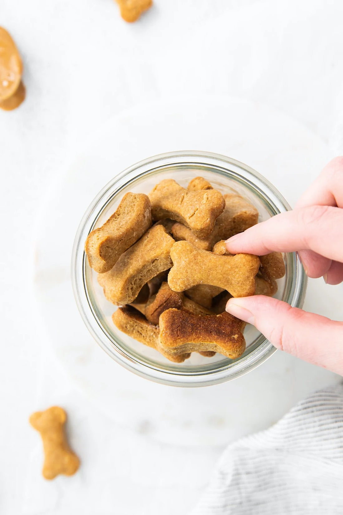 Pawsitively Peanutty Pup Treats