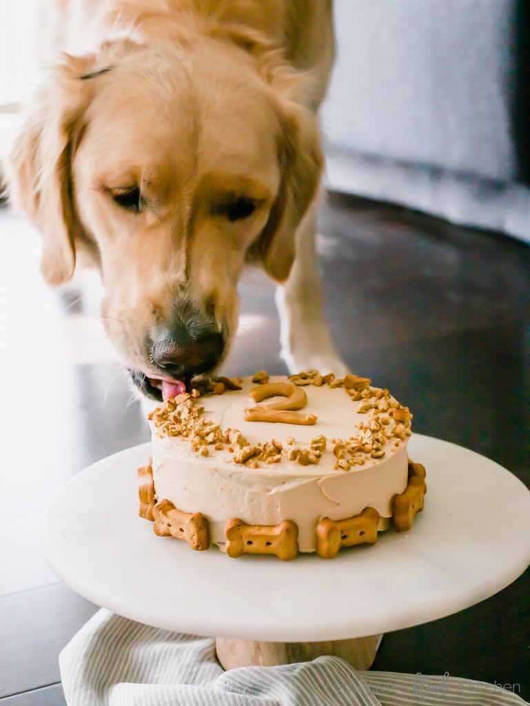 Banana Barkin' Pumpkin Delight