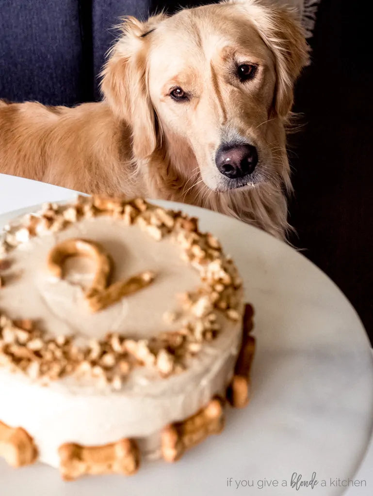 Banana Barkin' Pumpkin Delight